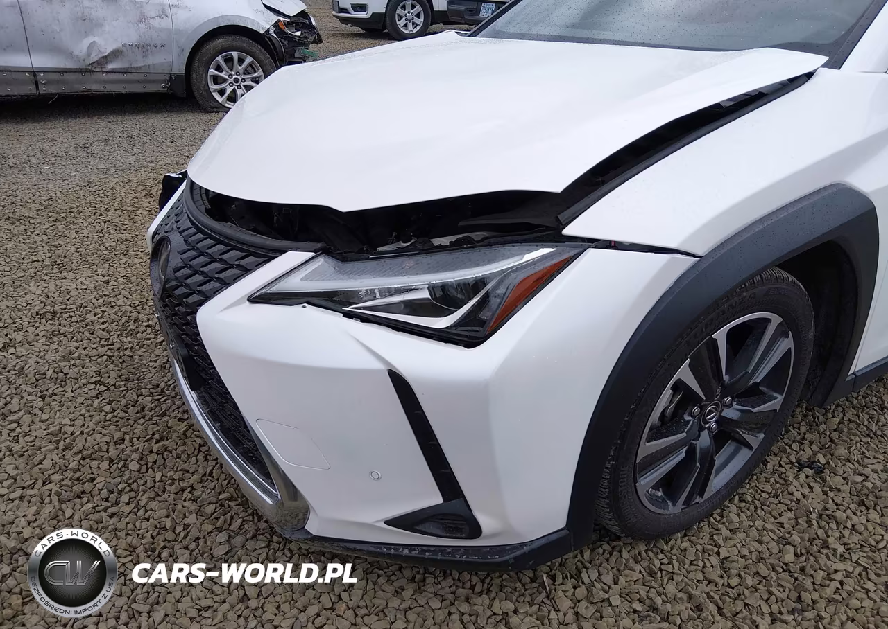 2022 Lexus Ux 250H VIN:JTHX9JBH4N2059012 - 19
