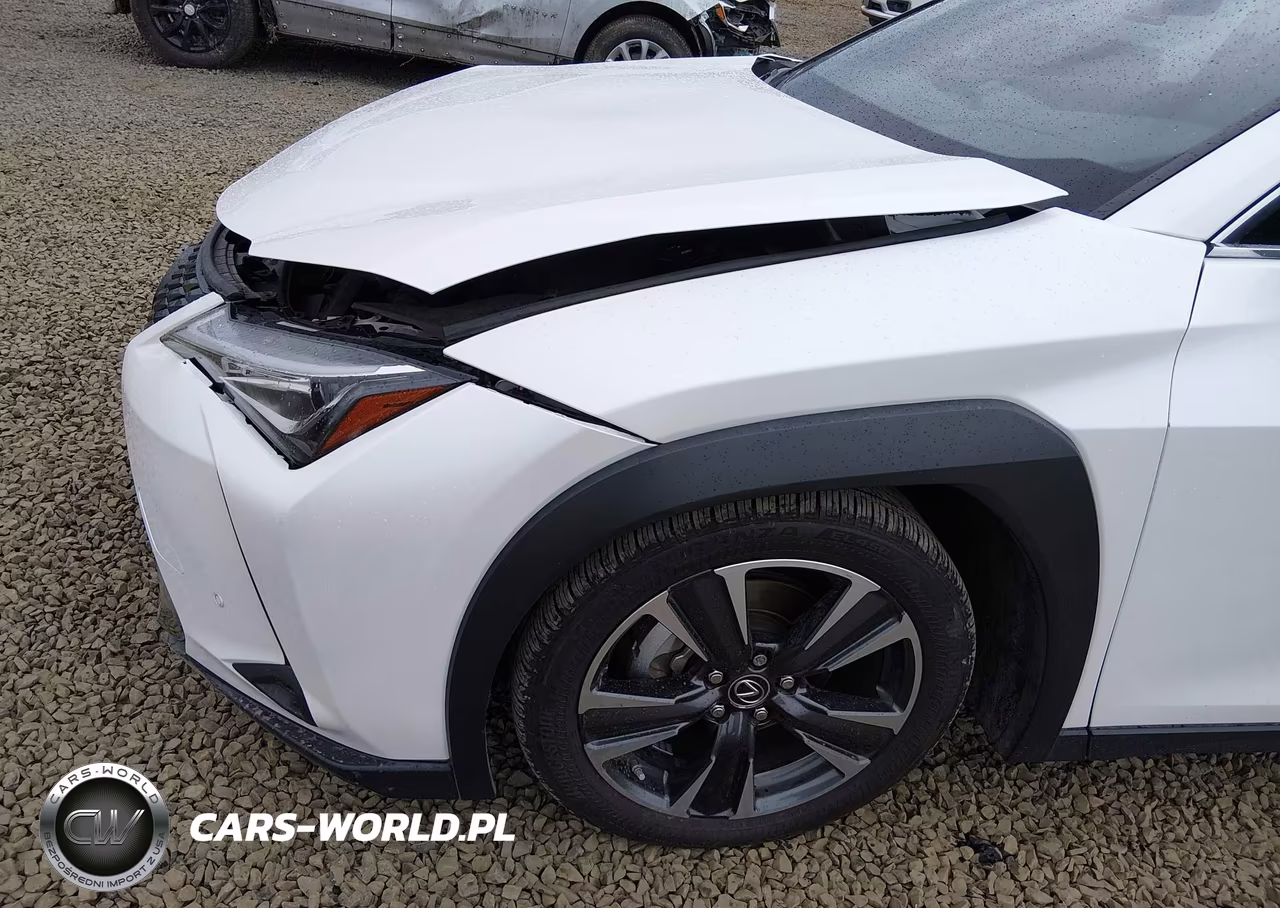 2022 Lexus Ux 250H VIN:JTHX9JBH4N2059012 - 20
