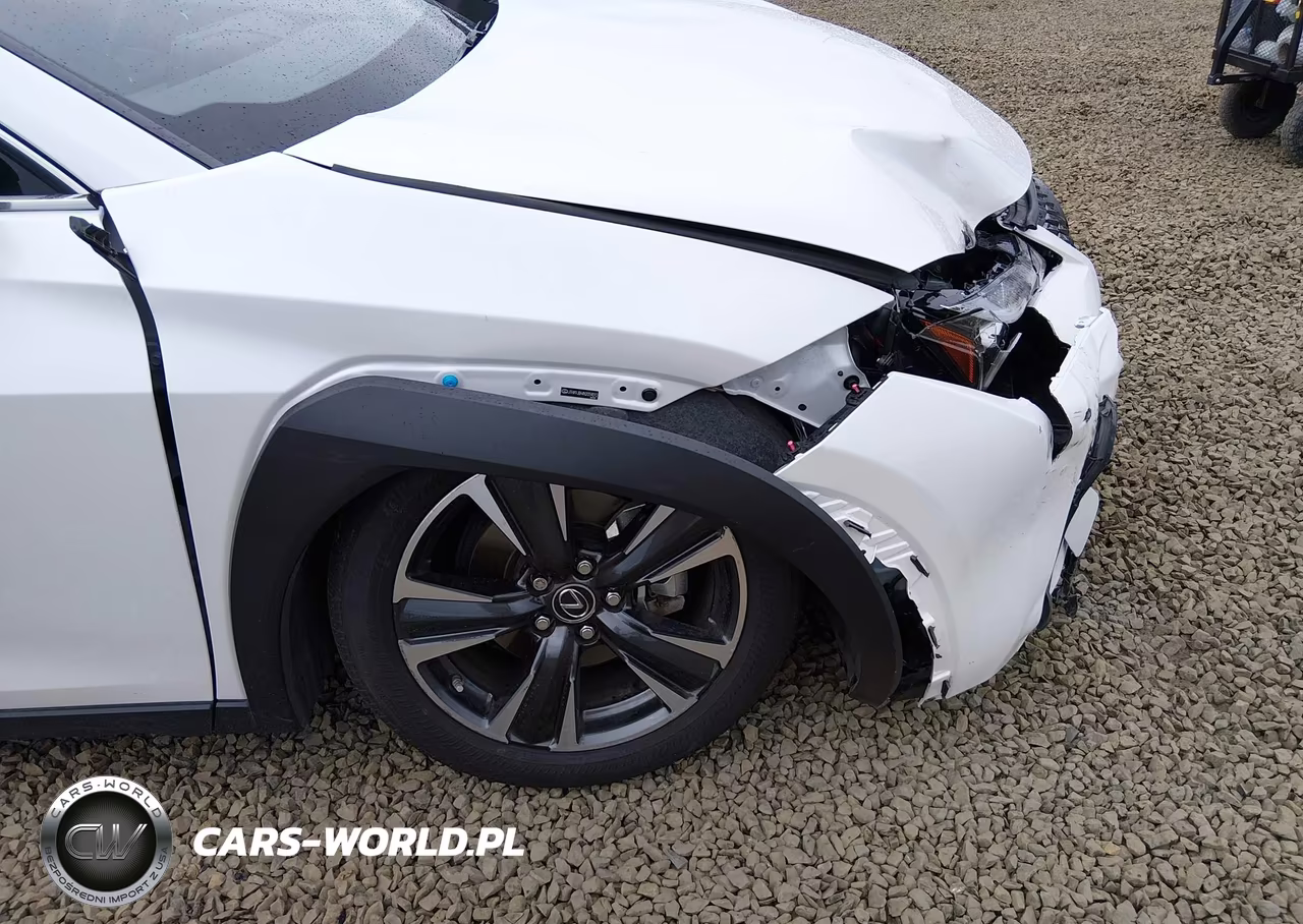 2022 Lexus Ux 250H VIN:JTHX9JBH4N2059012 - 21