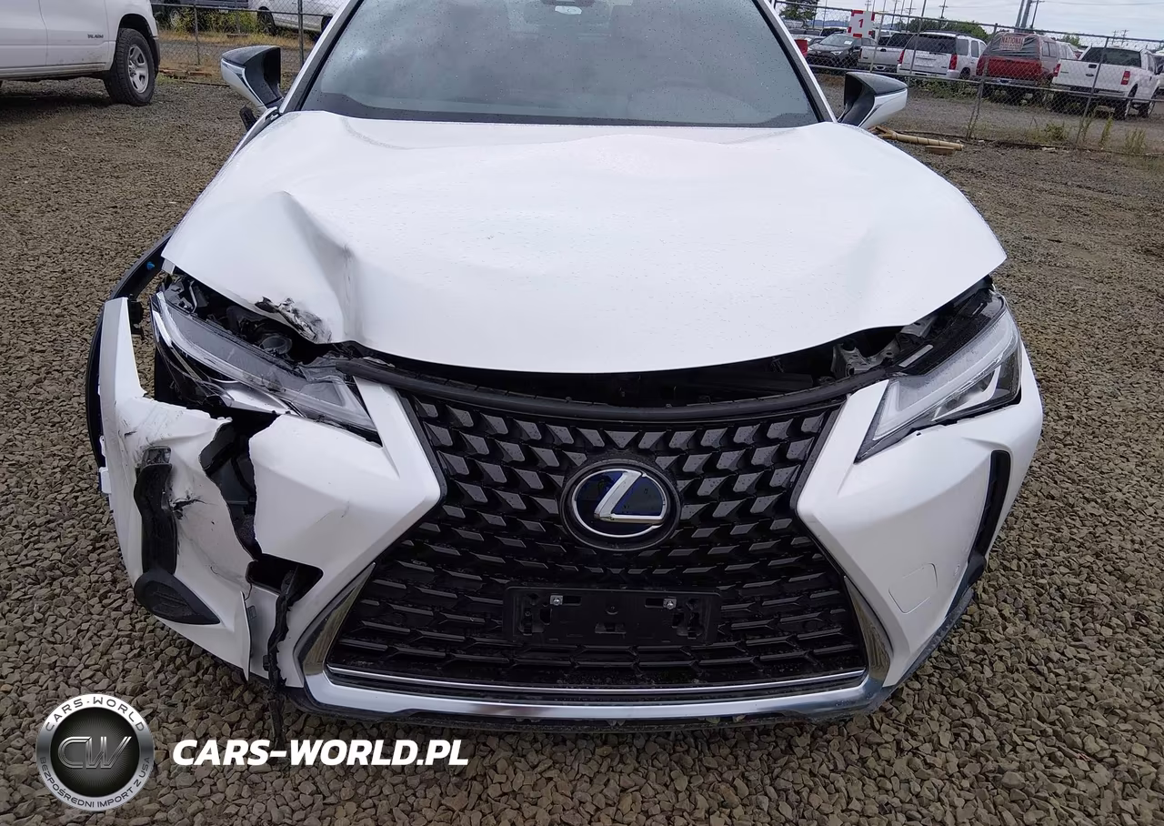 2022 Lexus Ux 250H VIN:JTHX9JBH4N2059012 - 6