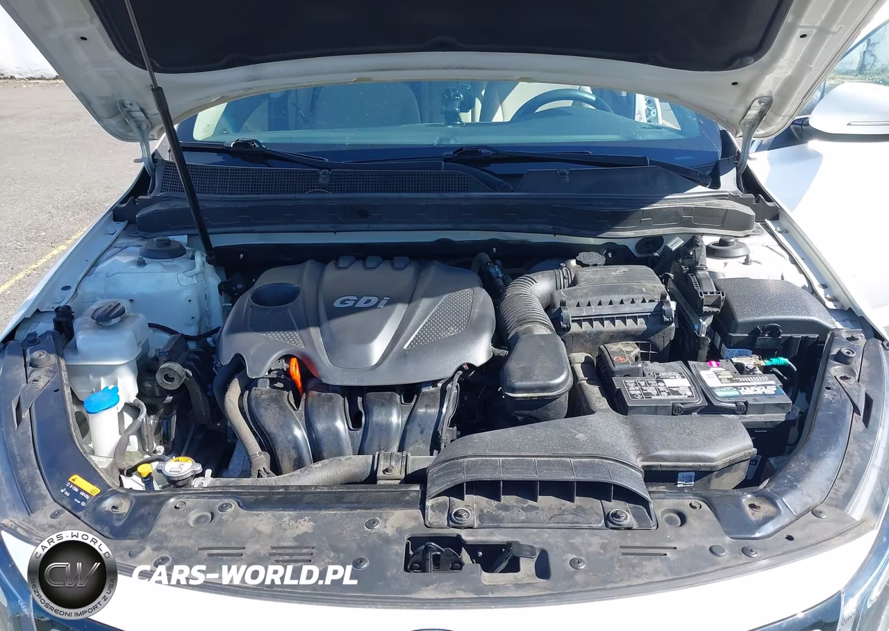 2015 Kia Optima Lx VIN:KNAGM4A77F5615336 - 10