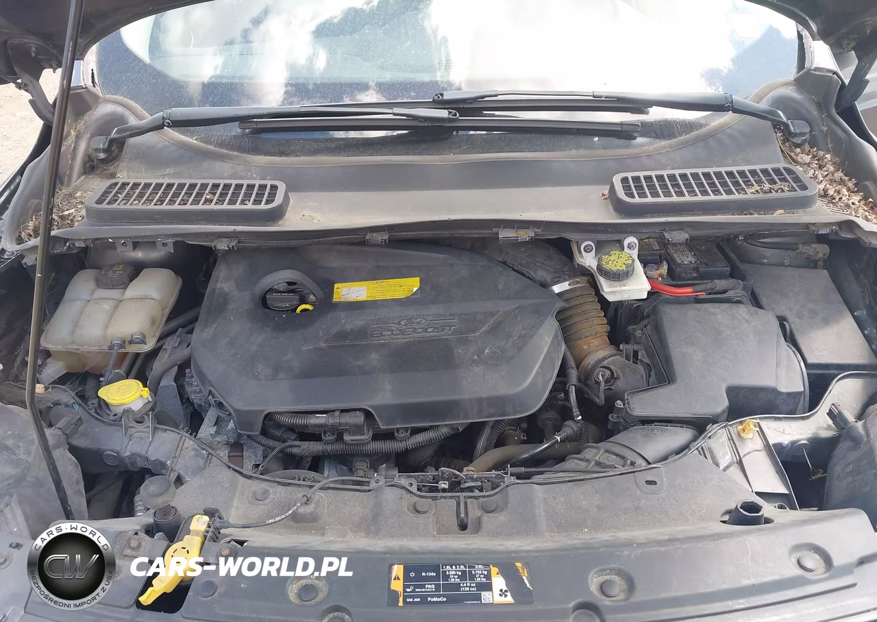 2016 Ford Escape Se VIN:1FMCU9GXXGUA34227 - 10
