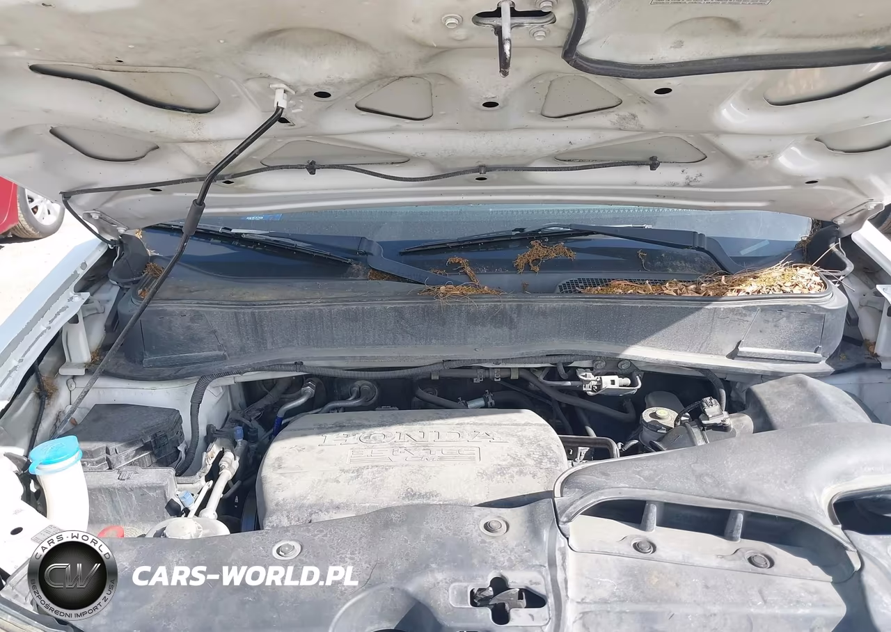 2013 Honda Pilot Ex VIN:5FNYF4H49DB044926 - 10