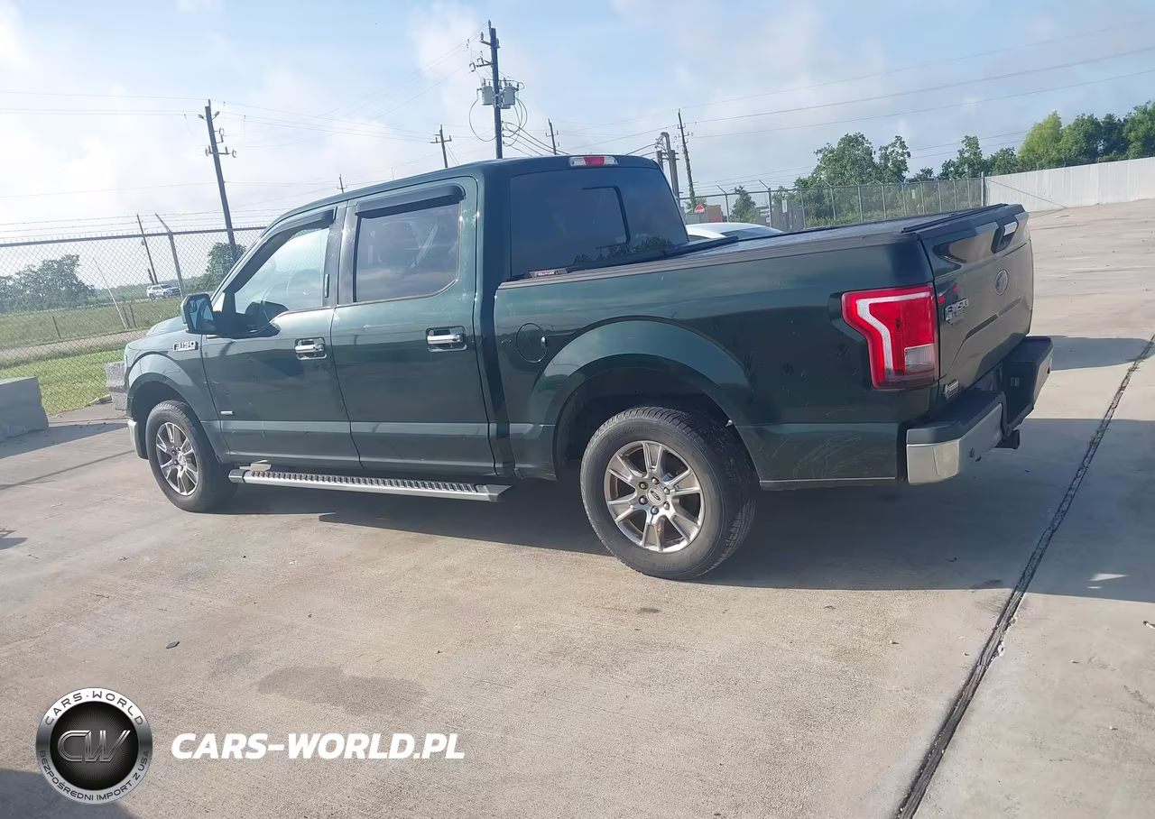 2015 Ford F-150 Xlt VIN:1FTEW1CP0FKE70660 - 14