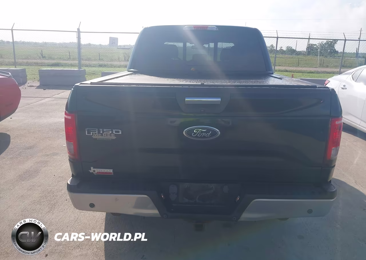 2015 Ford F-150 Xlt VIN:1FTEW1CP0FKE70660 - 16