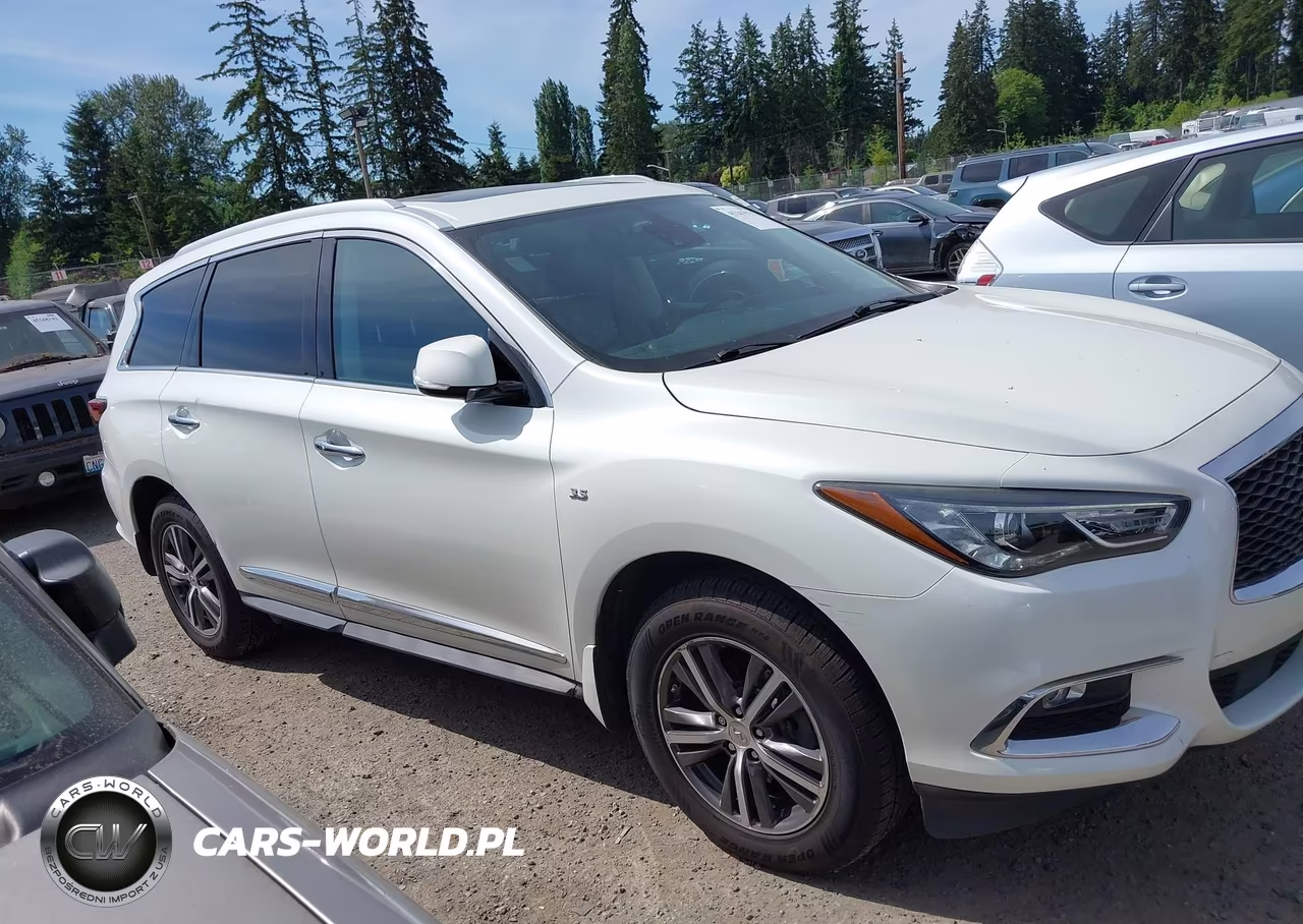 2019 Infiniti Qx60 Luxe VIN:5N1DL0MM0KC526924 - 13