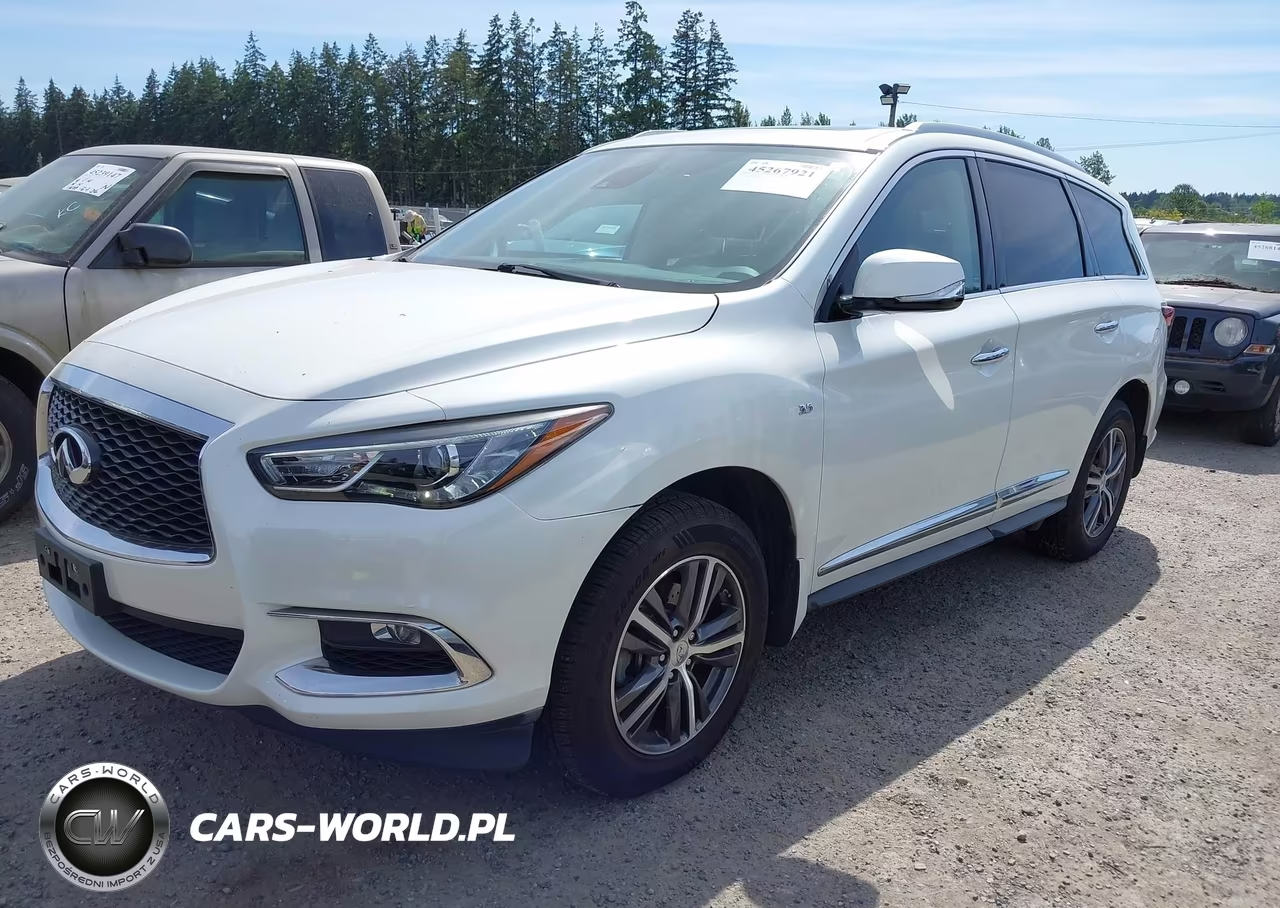 2019 Infiniti Qx60 Luxe VIN:5N1DL0MM0KC526924 - 2
