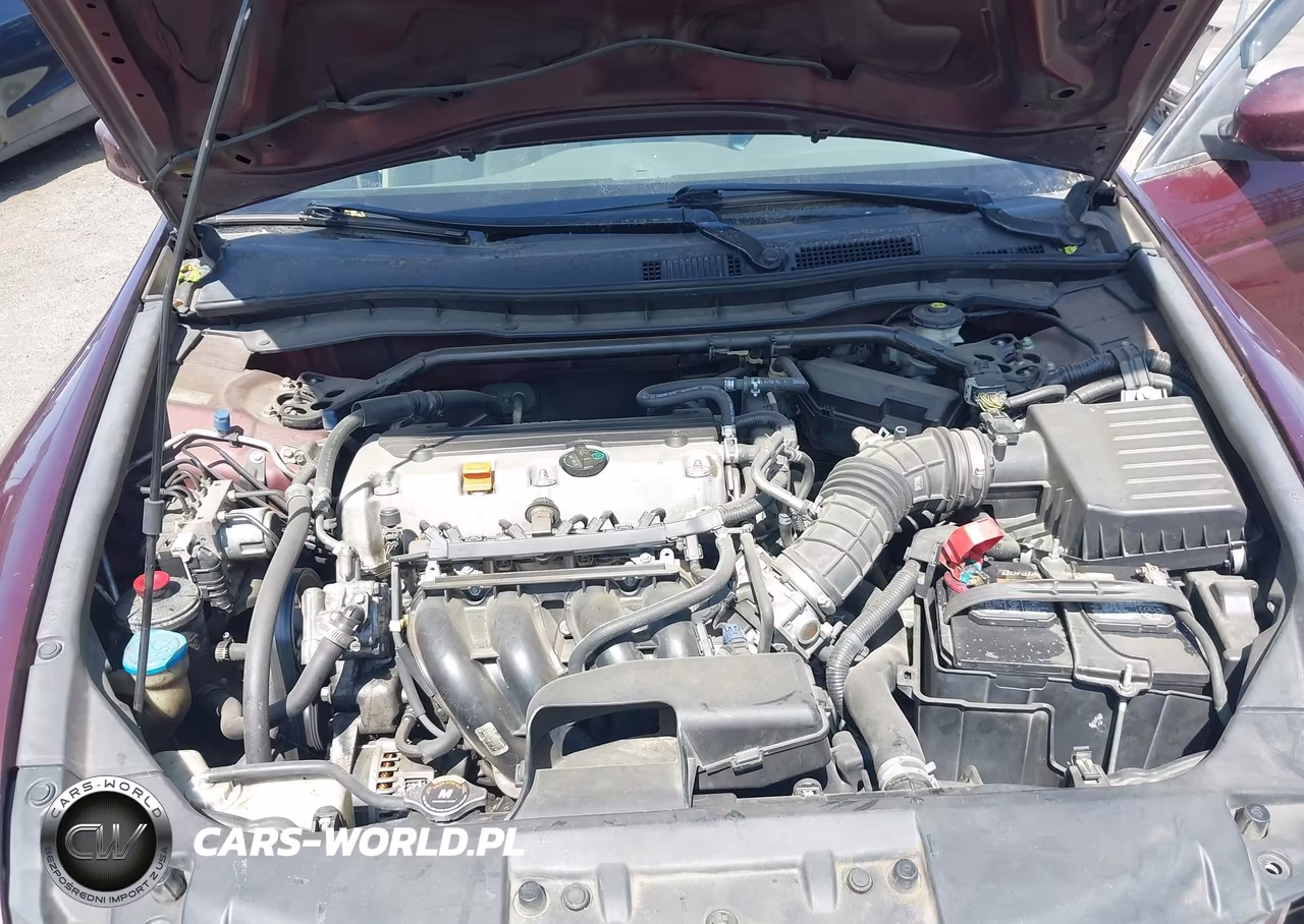 2010 Honda Accord 2.4 Ex VIN:1HGCP2F78AA104953 - 10