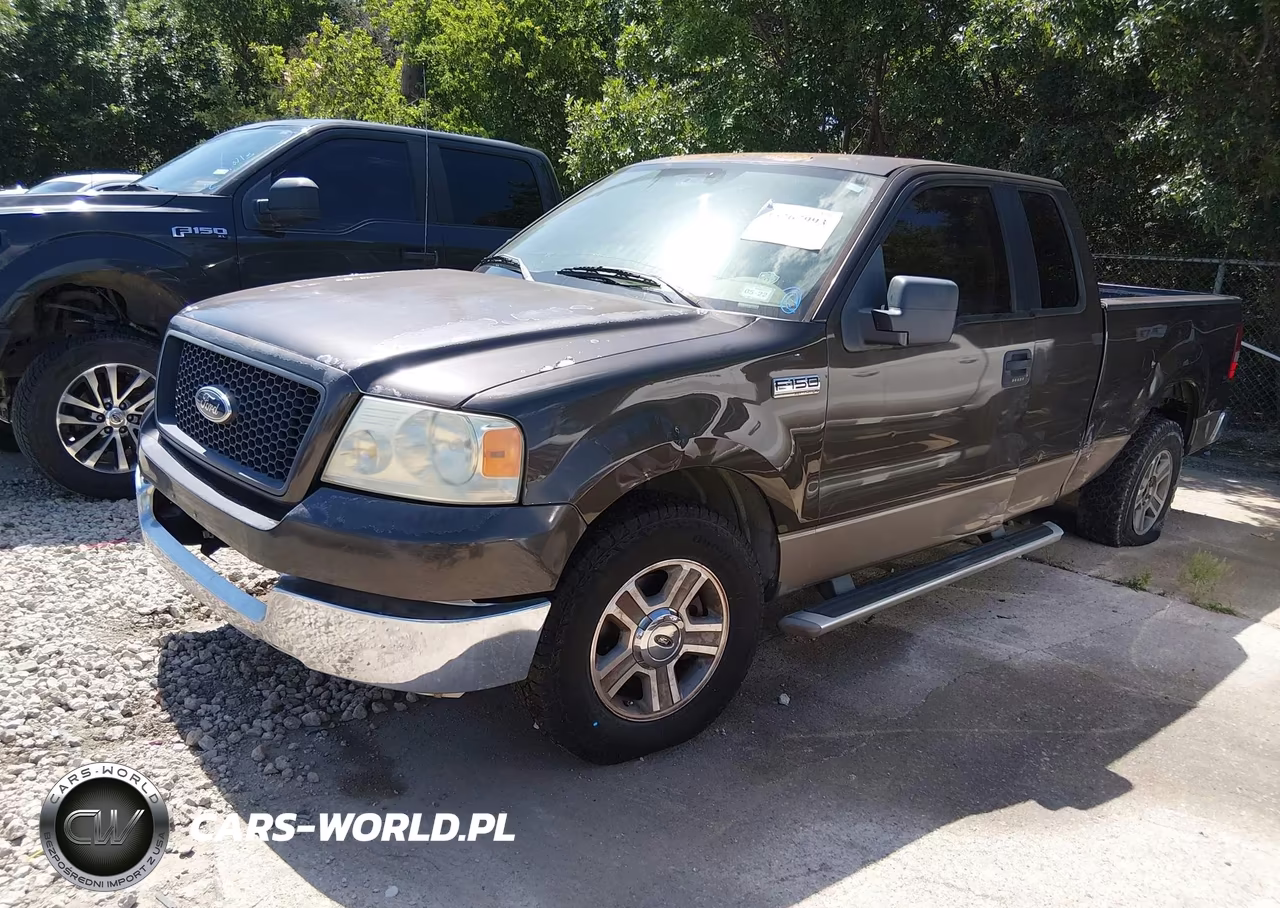 2005 Ford F-150 Stx-Xl-Xlt VIN:1FTRX12W85KD47484 - 2