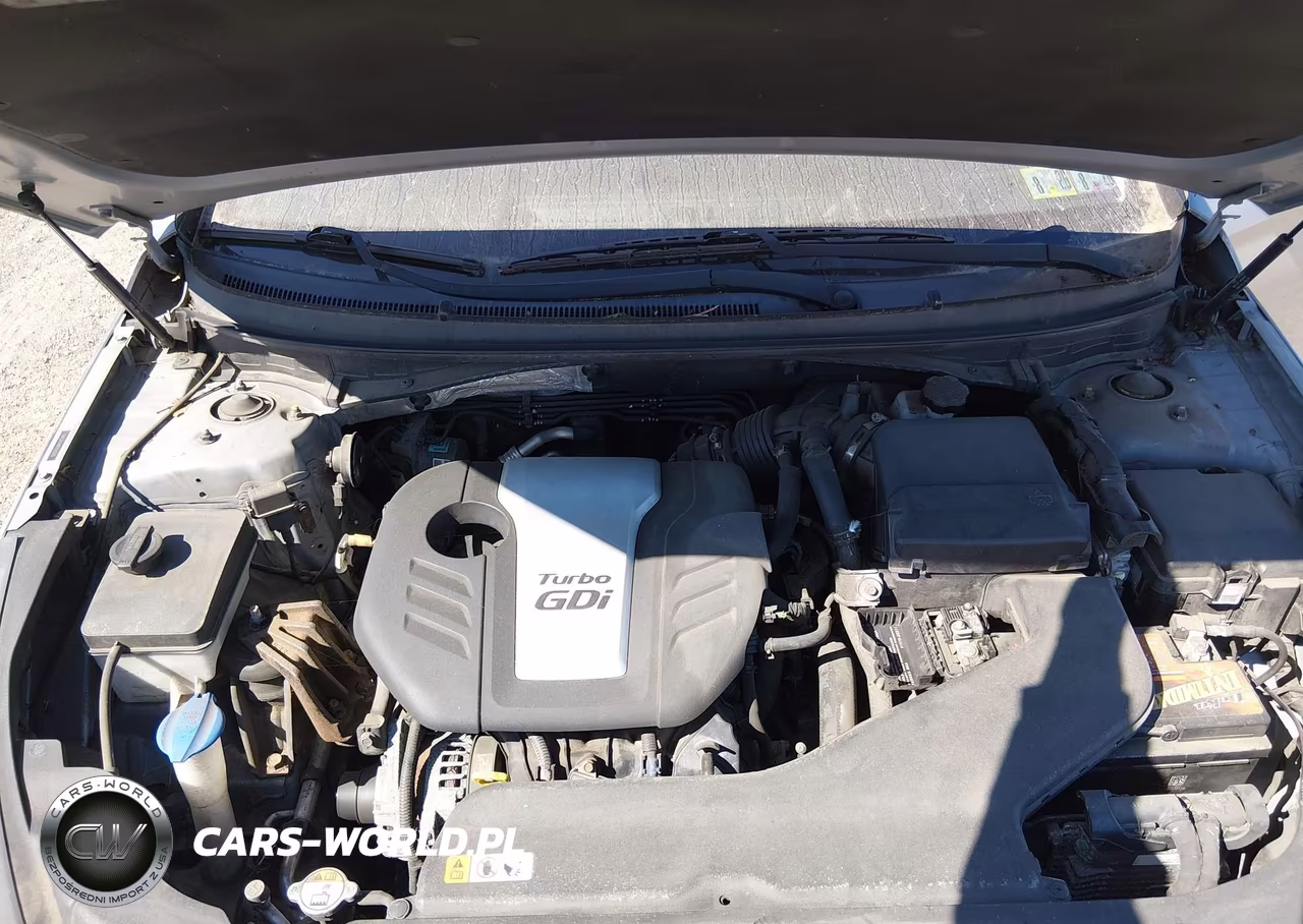 2015 Hyundai Sonata Eco VIN:5NPE24AA6FH143335 - 10