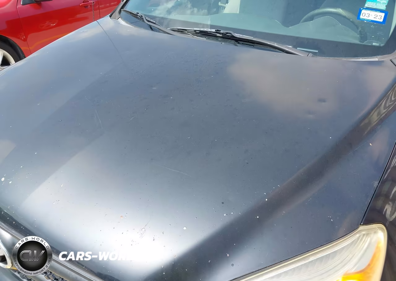 2006 Toyota Rav4 VIN:JTMZD33V366007423 - 13