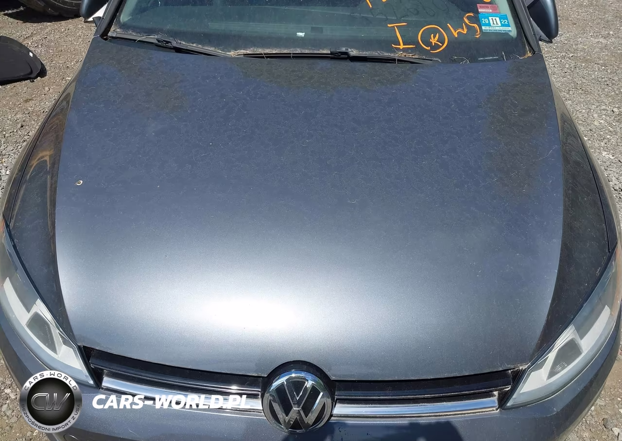 2016 Volkswagen Golf Tsi S 4-Door VIN:3VW217AU5GM016828 - 10