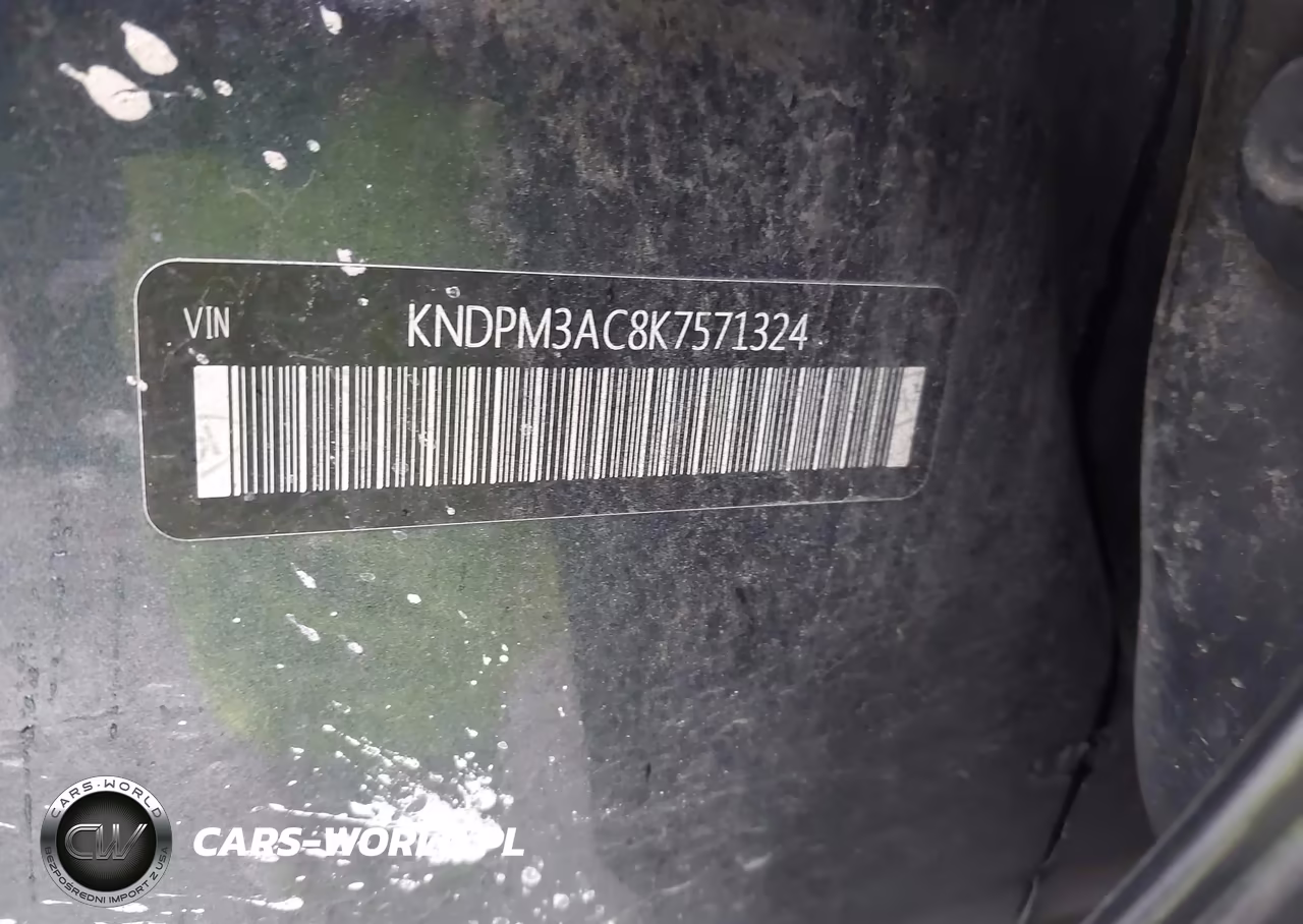 2019 Kia Sportage Lx VIN:KNDPM3AC8K7571324 - 19