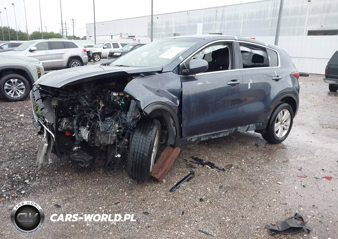 2019 Kia Sportage Lx VIN:KNDPM3AC8K7571324 - 2