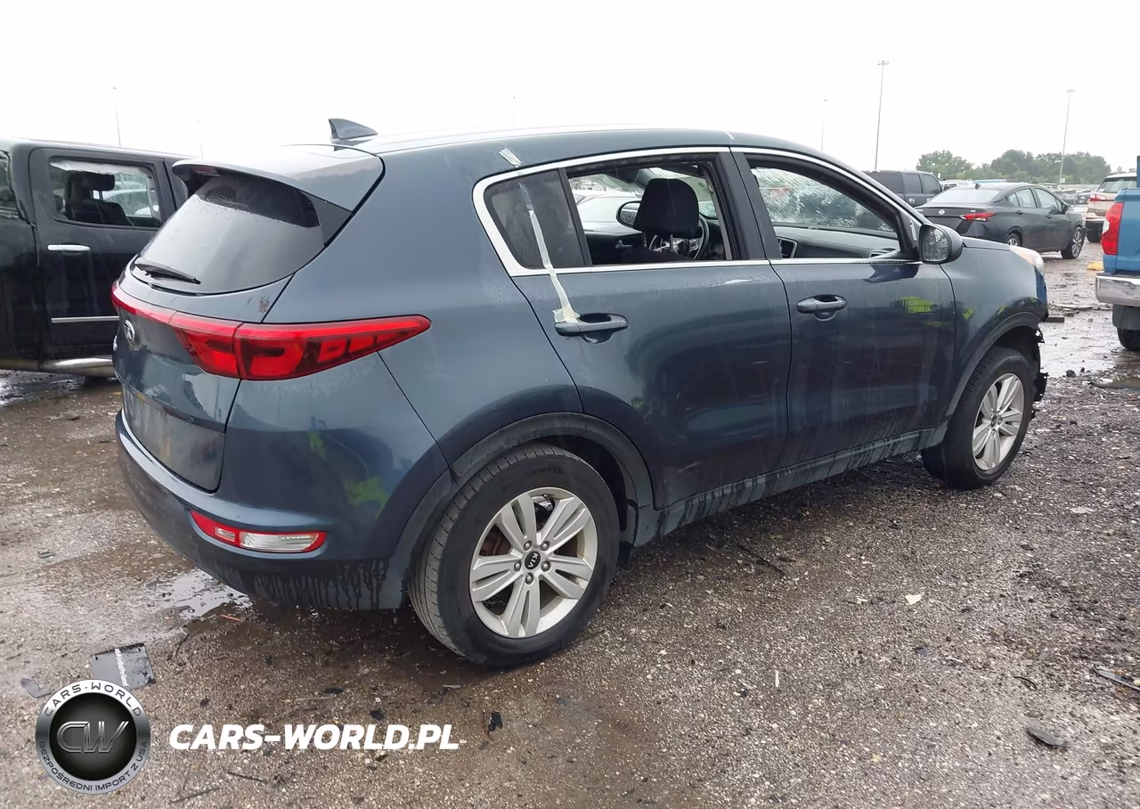 2019 Kia Sportage Lx VIN:KNDPM3AC8K7571324 - 4