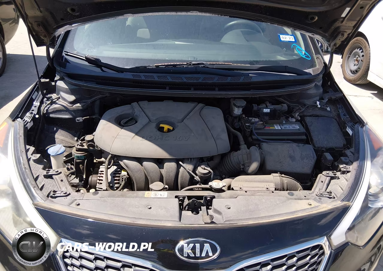 2016 Kia Forte Lx VIN:KNAFK4A67G5522472 - 10