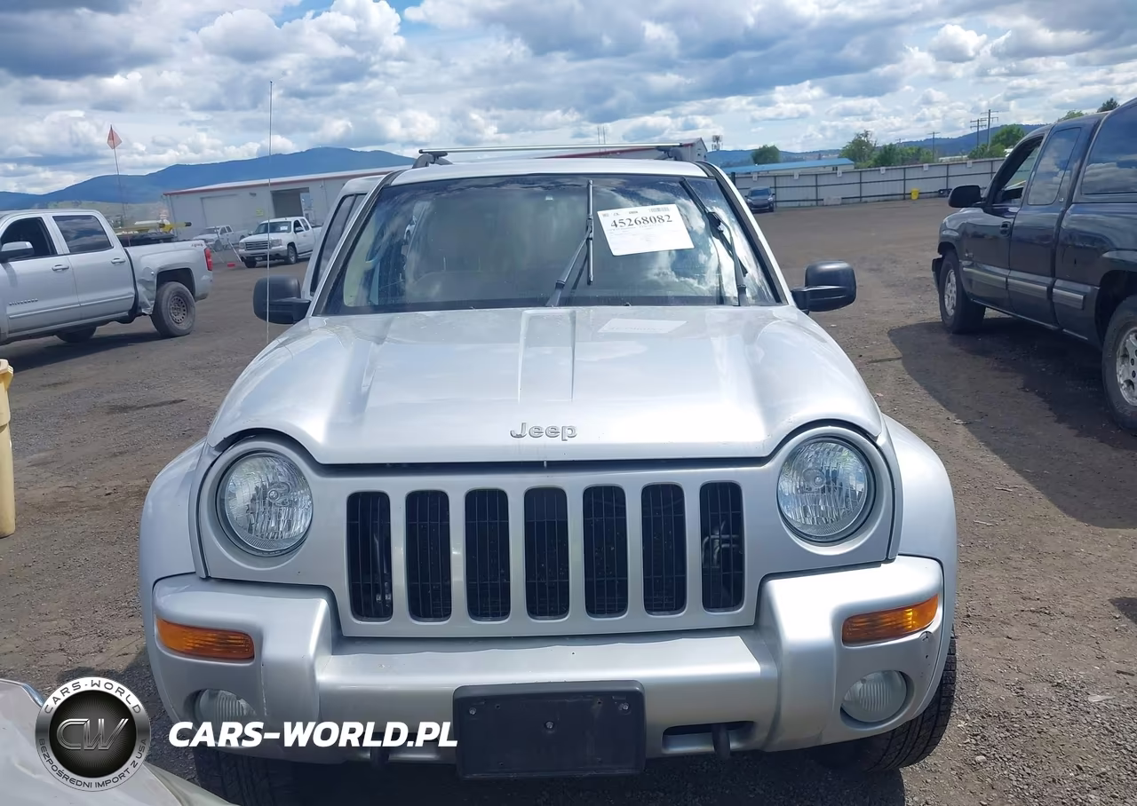 2004 Jeep Liberty Limited Edition VIN:1J8GL58KX4W323668 - 12