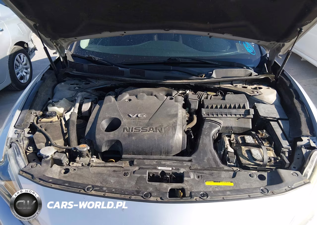 2016 Nissan Maxima VIN:1N4AA6AP3GC433939 - 10