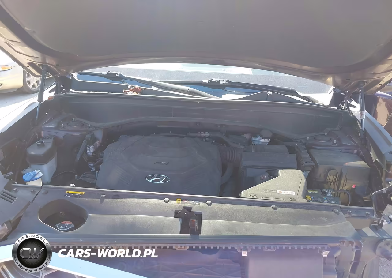 2020 Hyundai Palisade Limited VIN:KM8R5DHE9LU038075 - 10