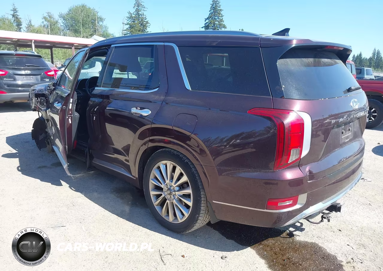 2020 Hyundai Palisade Limited VIN:KM8R5DHE9LU038075 - 3