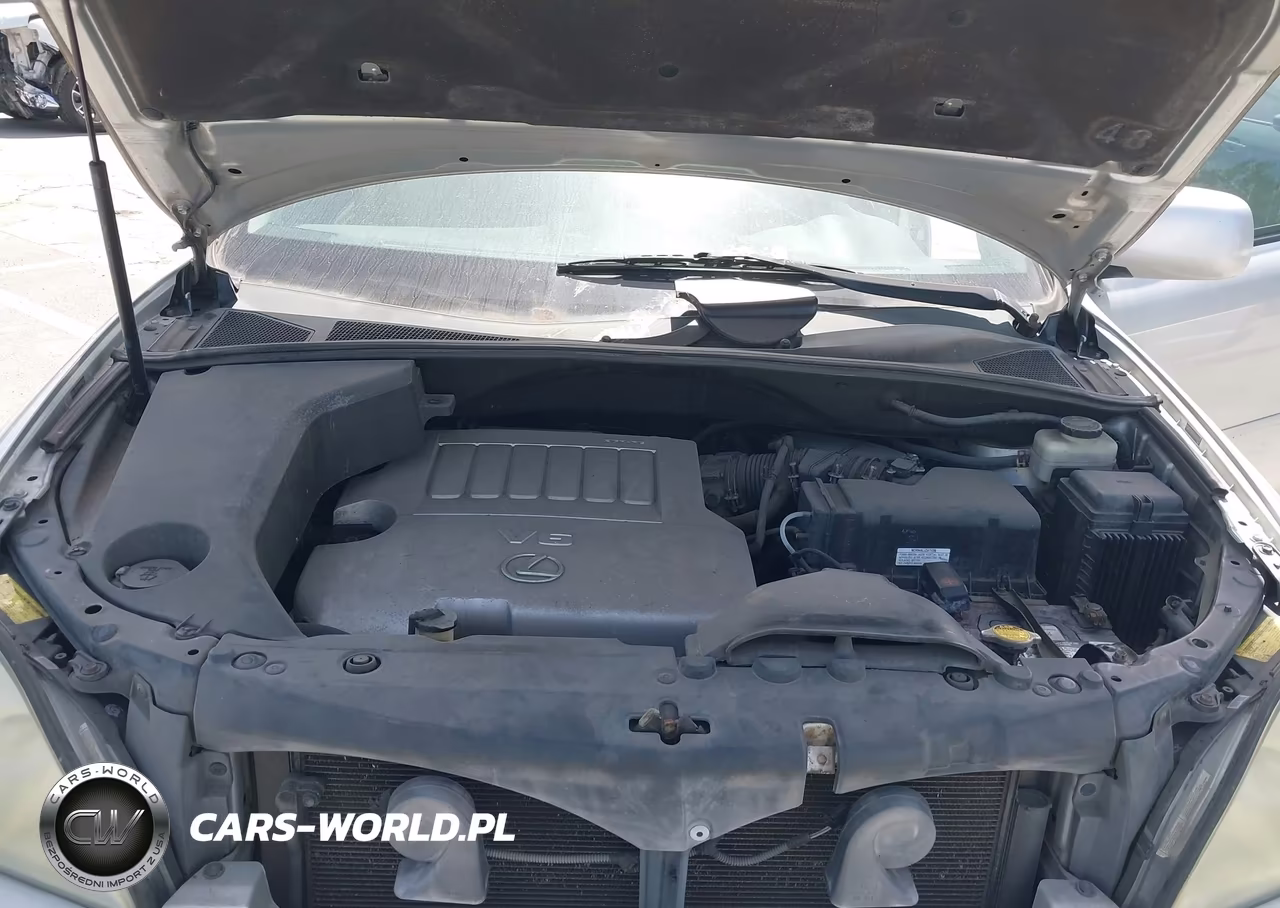 2009 Lexus Rx 350 VIN:2T2GK31U99C062216 - 10