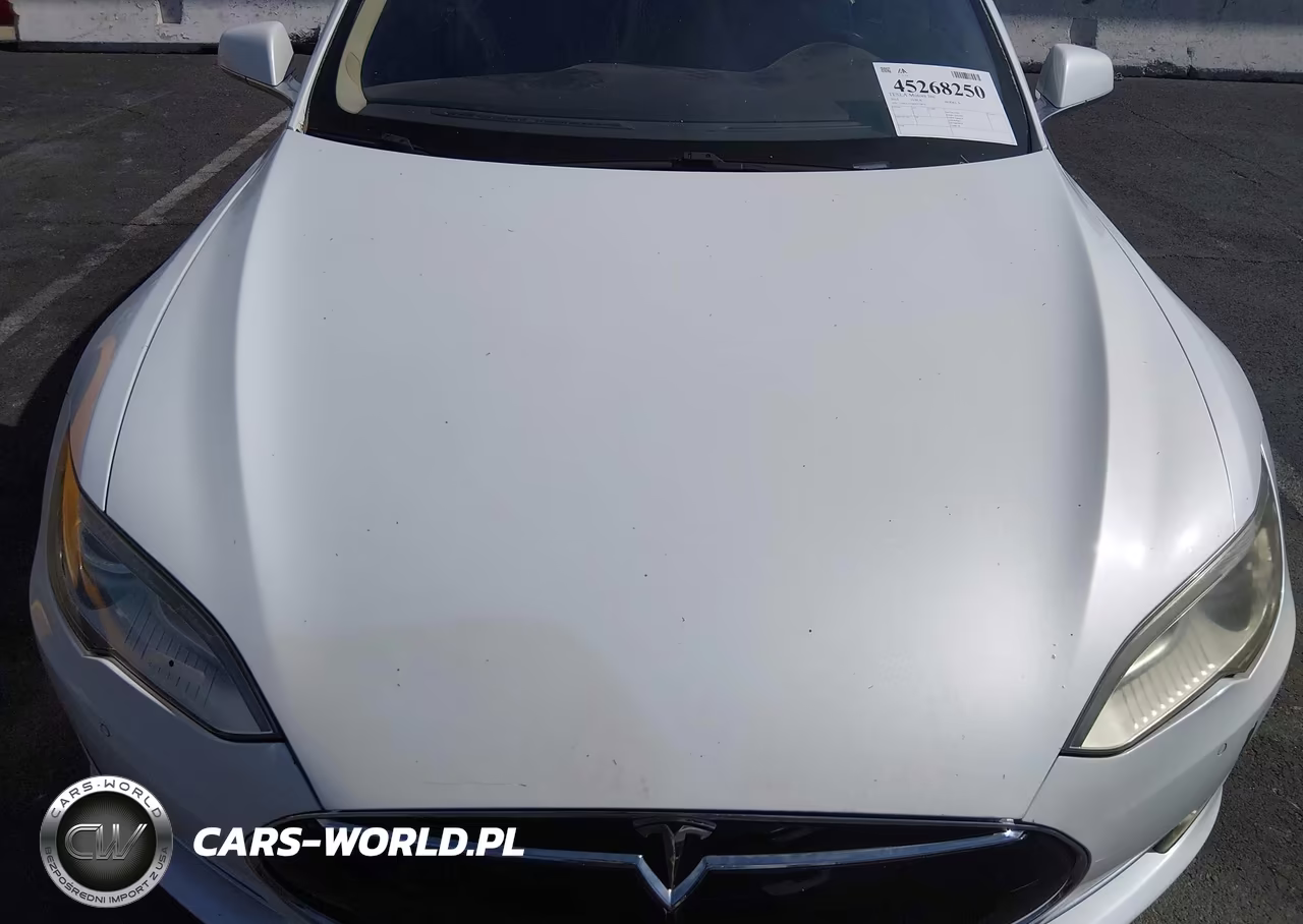 2013 Tesla Model S VIN:5YJSA1CN6DFP20879 - 10