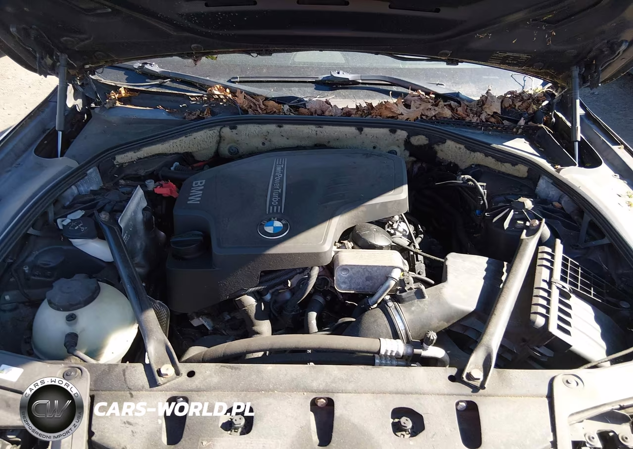 2013 BMW 528I xDrive VIN:WBAXH5C52DDW12787 - 10