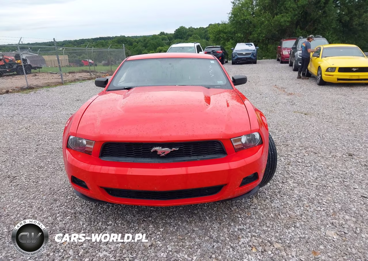 2012 Ford Mustang V6 Premium VIN:1ZVBP8AM9C5209701 - 12