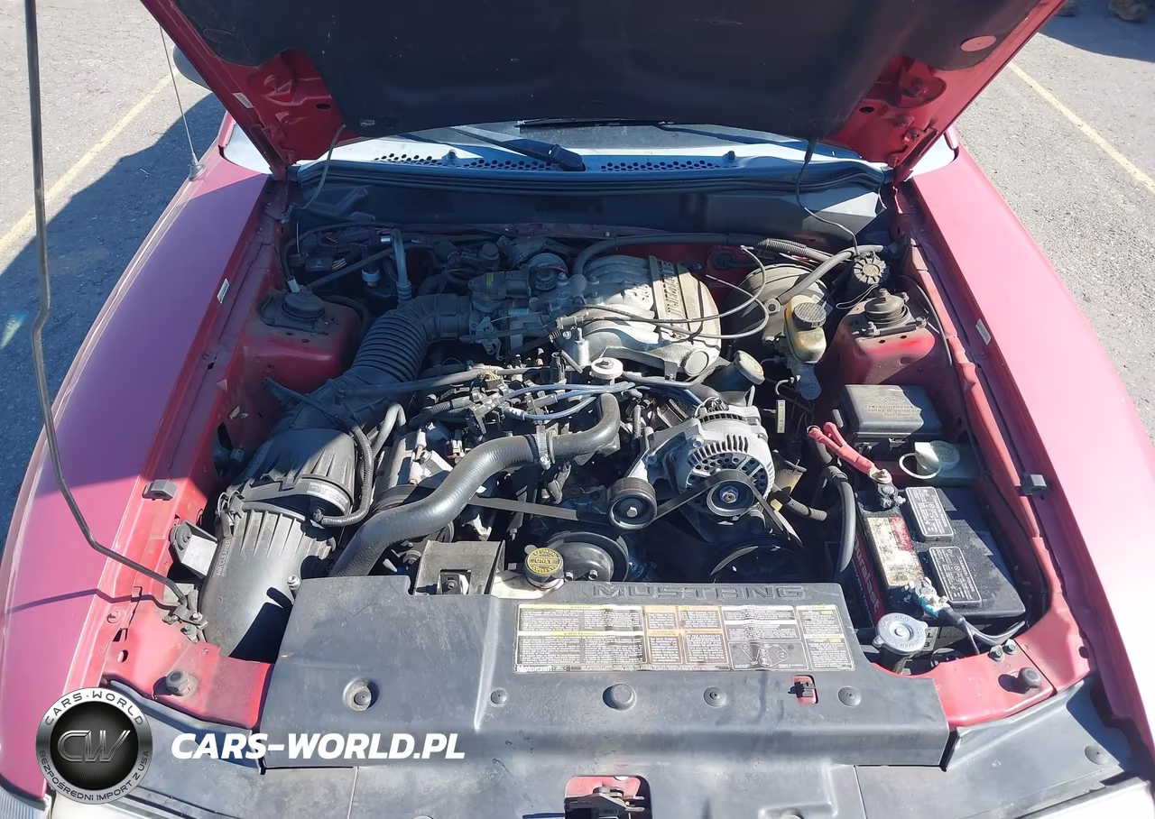 1995 Ford Mustang VIN:1FALP4449SF156153 - 10