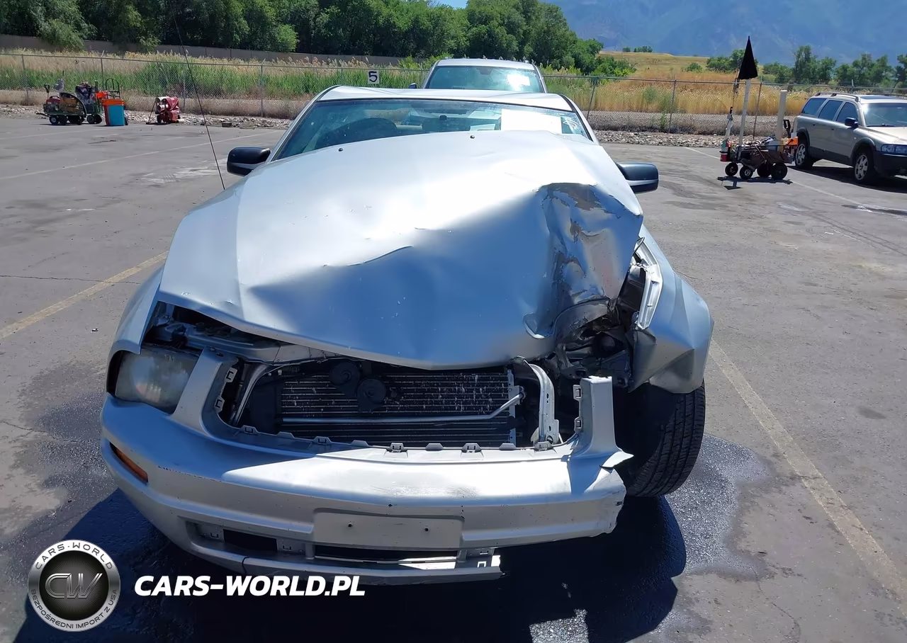 2009 Ford Mustang V6-V6 Premium VIN:1ZVHT80N495126301 - 12