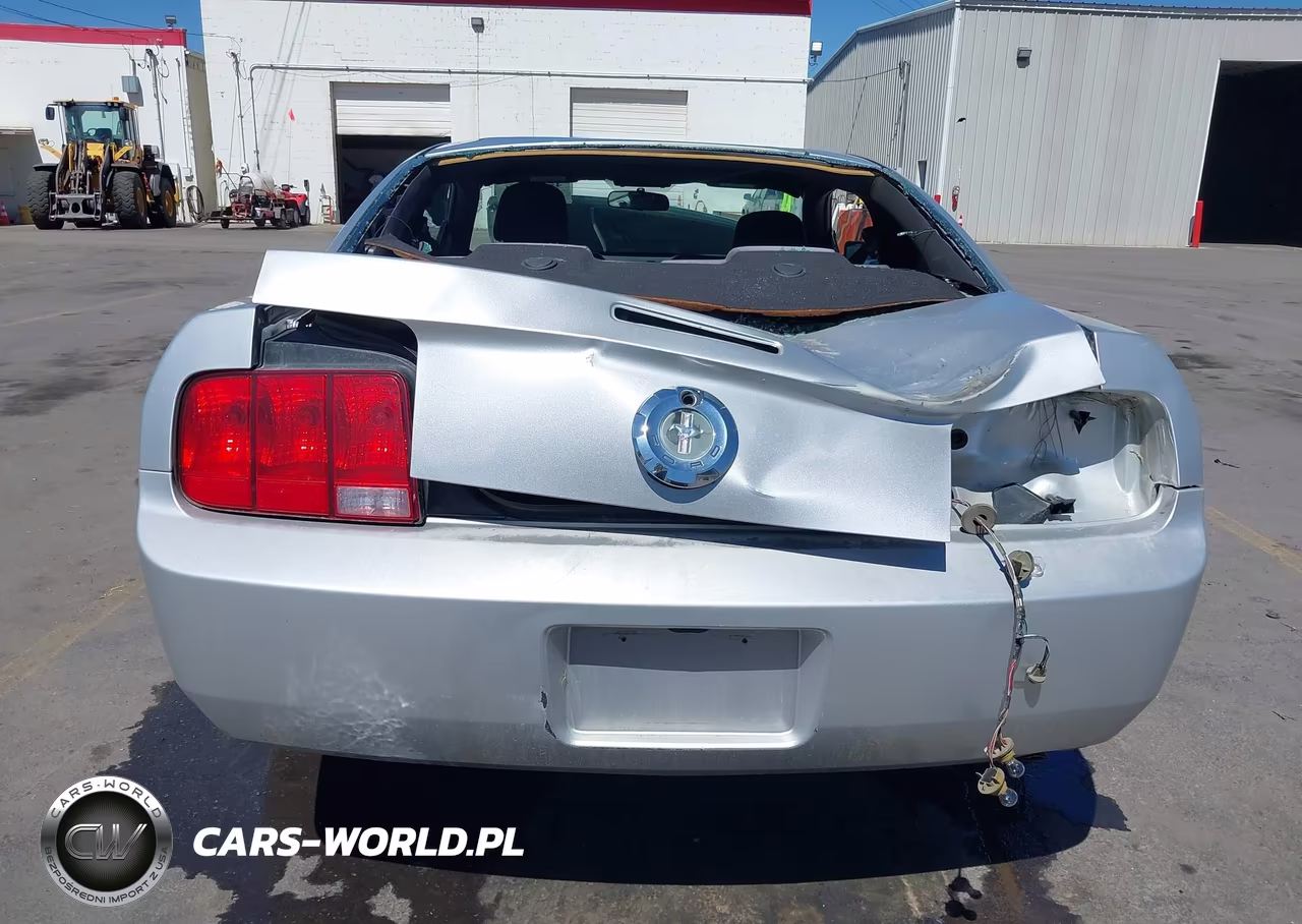 2009 Ford Mustang V6-V6 Premium VIN:1ZVHT80N495126301 - 16