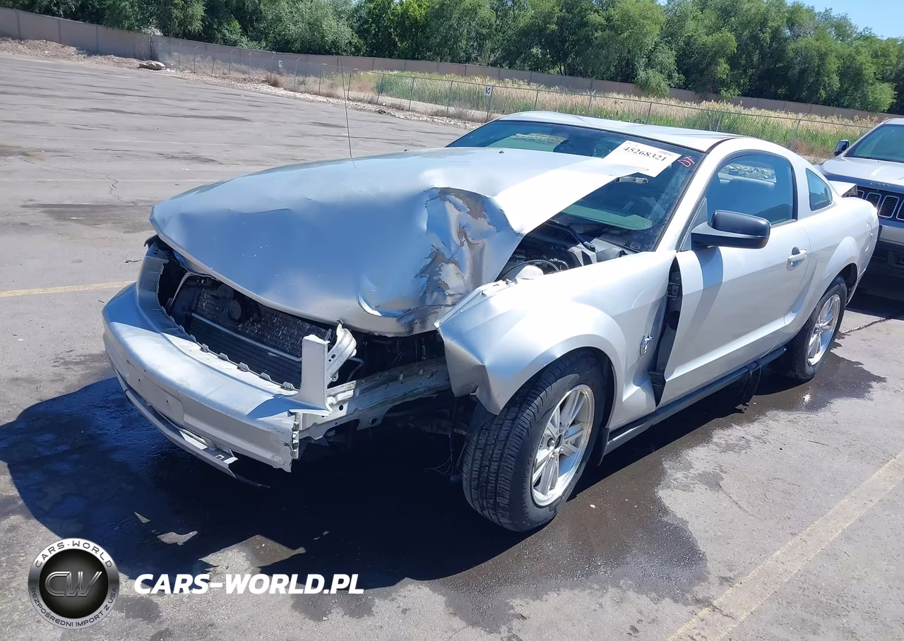 2009 Ford Mustang V6-V6 Premium VIN:1ZVHT80N495126301 - 2