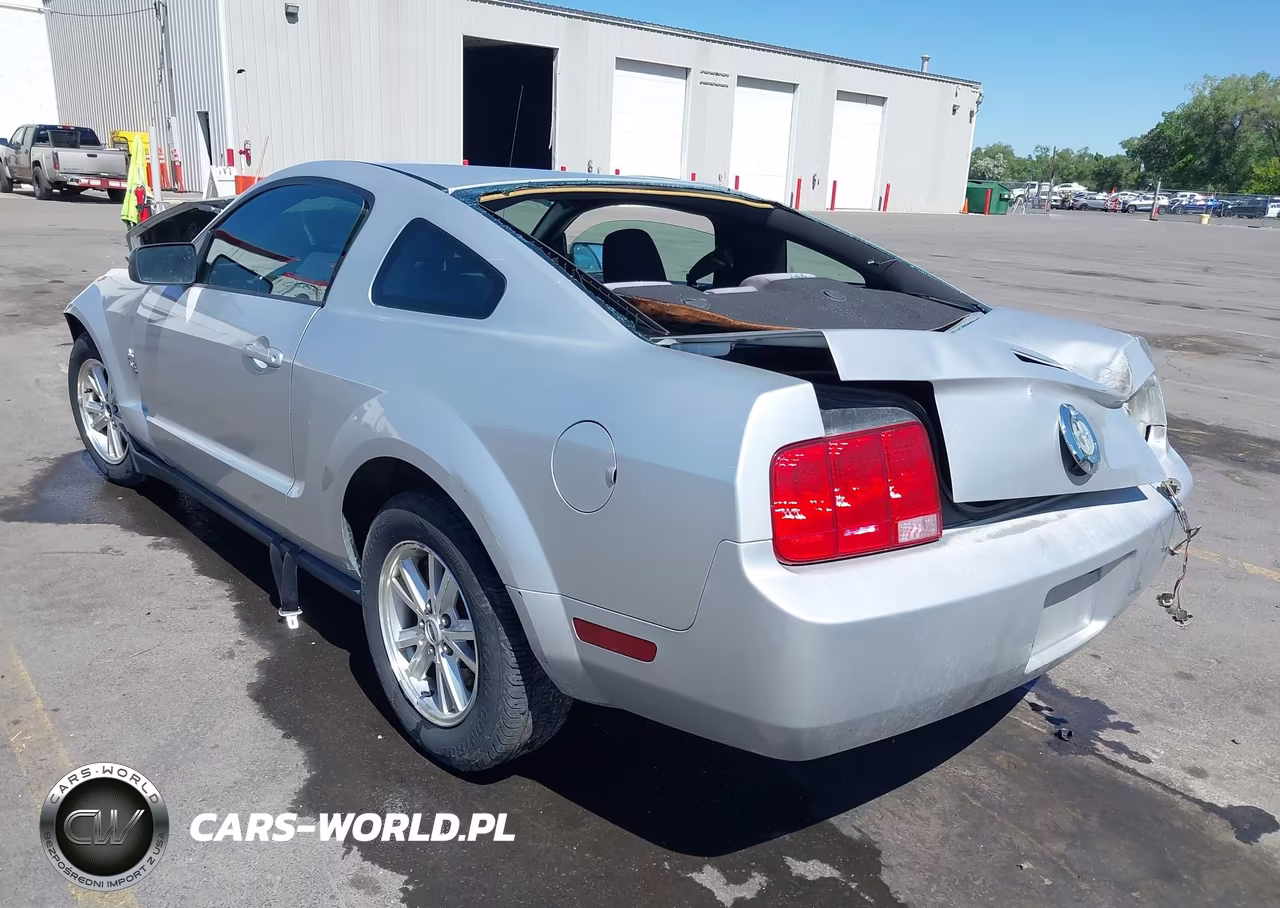 2009 Ford Mustang V6-V6 Premium VIN:1ZVHT80N495126301 - 3