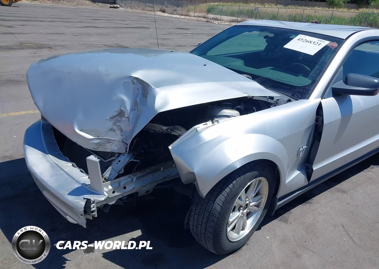 2009 Ford Mustang V6-V6 Premium VIN:1ZVHT80N495126301 - 6
