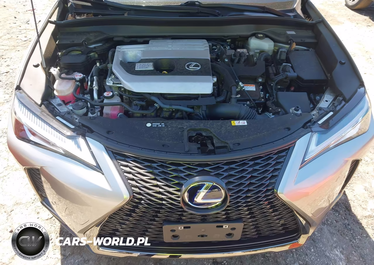 2021 Lexus Ux 250H F Sport VIN:JTHR9JBH2M2048520 - 10