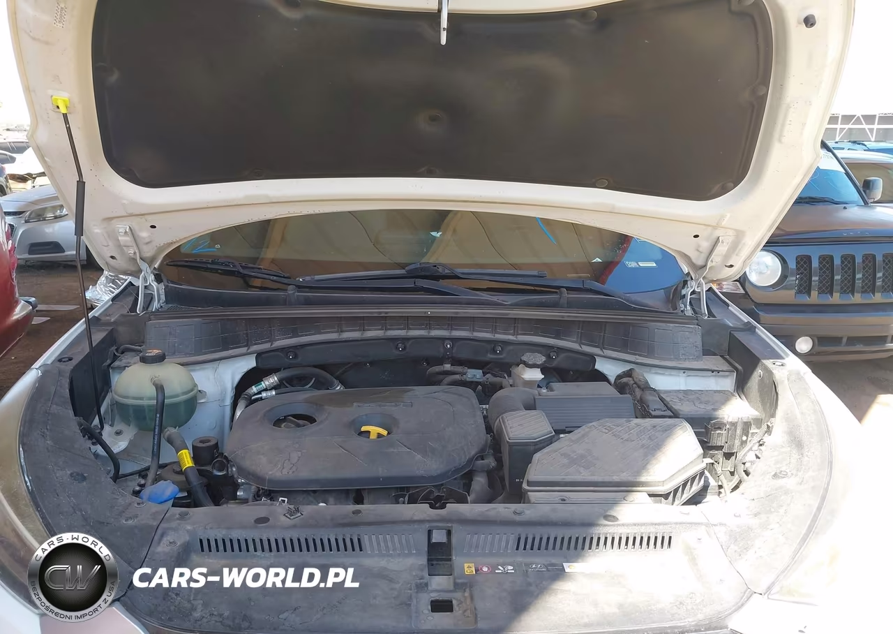 2019 Hyundai Tucson Se VIN:KM8J2CA43KU970305 - 10