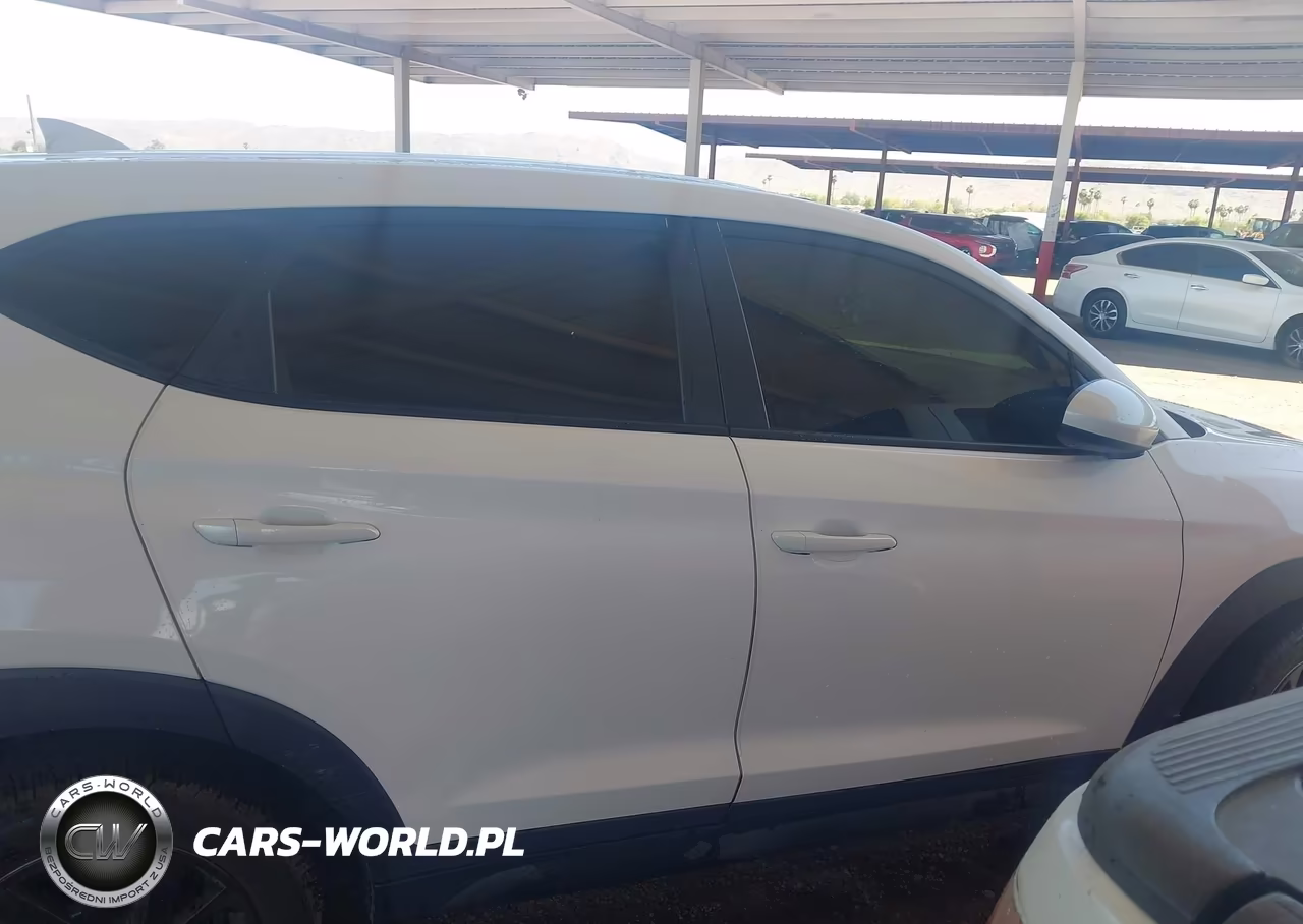 2019 Hyundai Tucson Se VIN:KM8J2CA43KU970305 - 13
