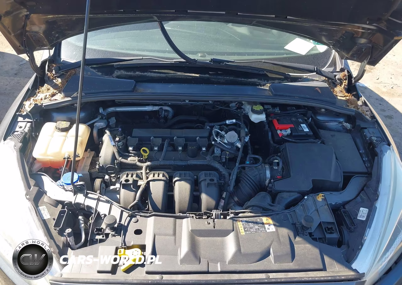 2018 Ford Focus Se VIN:1FADP3F22JL201928 - 10