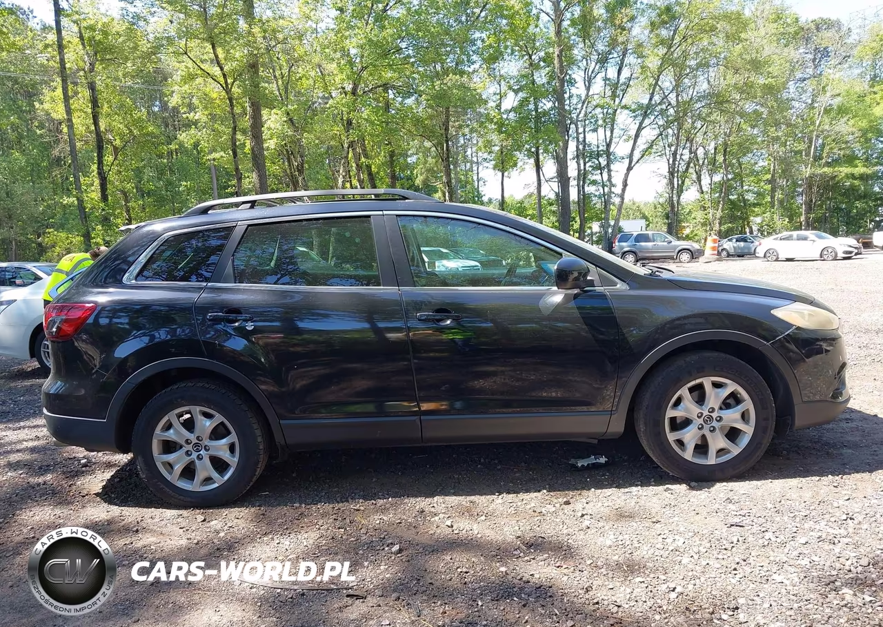 2015 Mazda Cx-9 Touring VIN:JM3TB3CV8F0462922 - 13