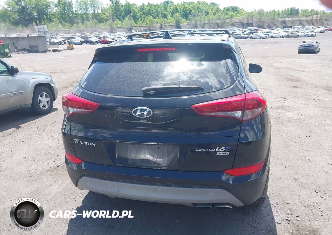 2017 Hyundai Tucson Limited VIN:KM8J3CA23HU303402 - 16