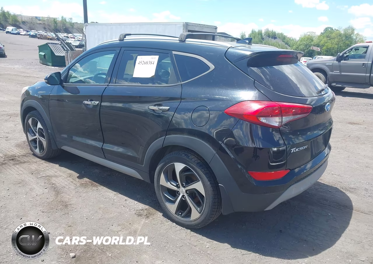 2017 Hyundai Tucson Limited VIN:KM8J3CA23HU303402 - 3