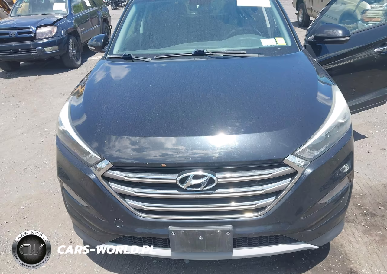 2017 Hyundai Tucson Limited VIN:KM8J3CA23HU303402 - 6