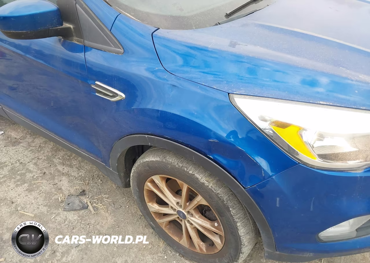 2017 Ford Escape Se VIN:1FMCU9GD4HUB45637 - 17