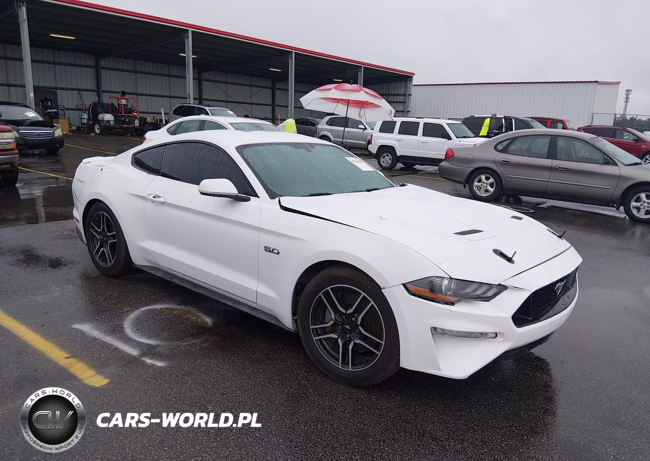 2019 Ford Mustang Gt – zdjęcie 1 z 16