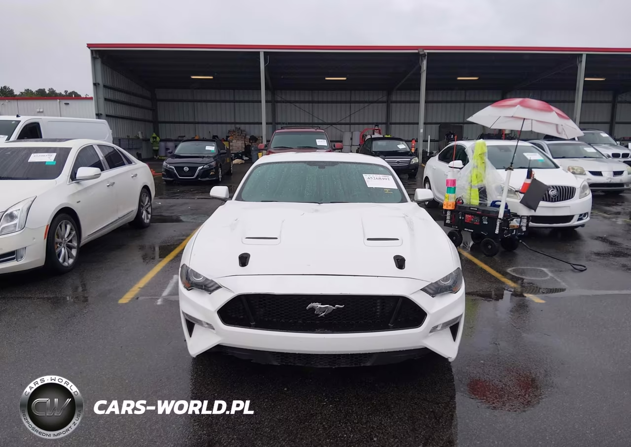 2019 Ford Mustang Gt VIN:1FA6P8CF7K5191349 - 12