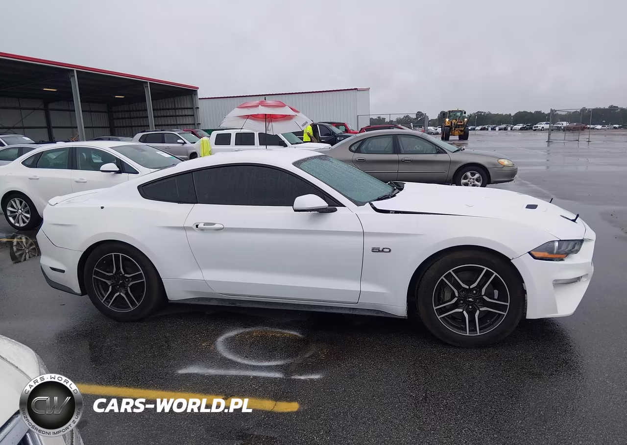 2019 Ford Mustang Gt VIN:1FA6P8CF7K5191349 - 13