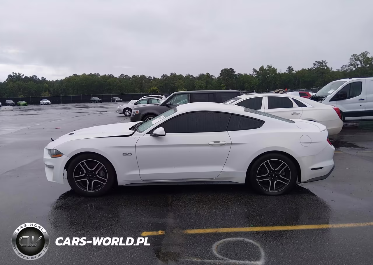2019 Ford Mustang Gt VIN:1FA6P8CF7K5191349 - 14