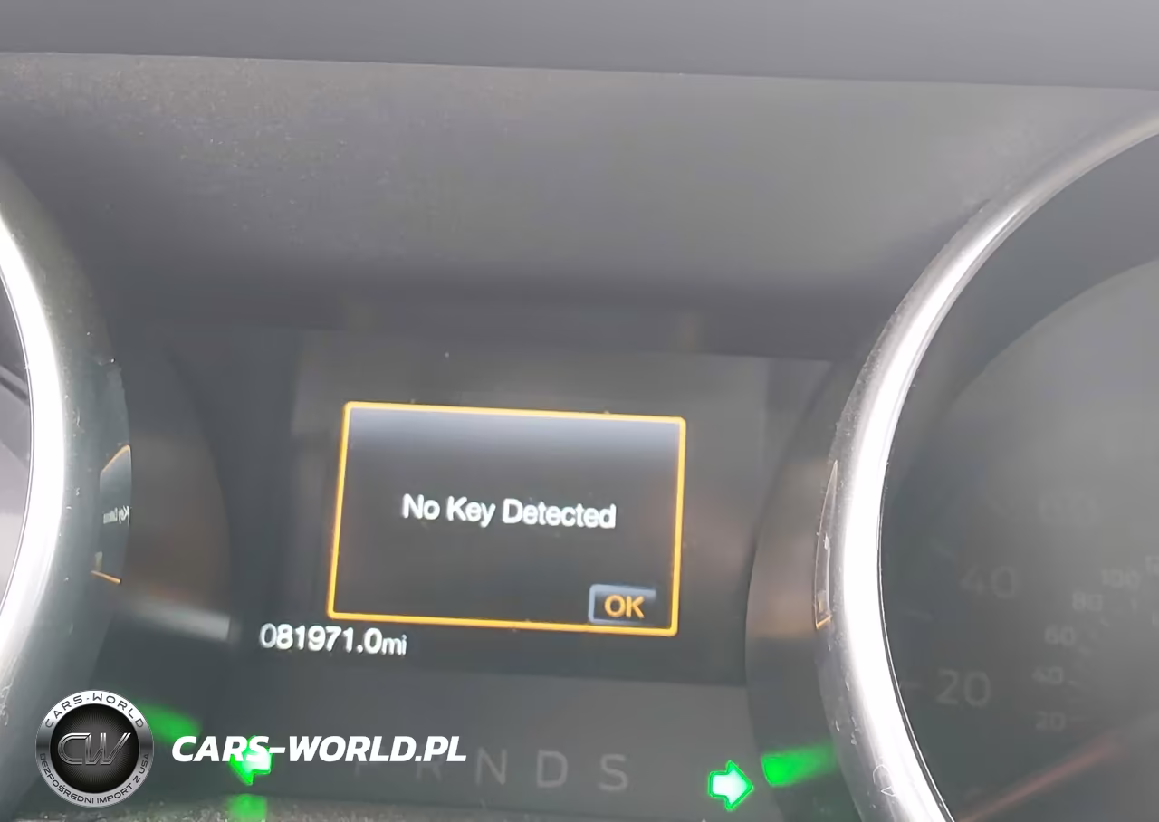 2019 Ford Mustang Gt VIN:1FA6P8CF7K5191349 - 15