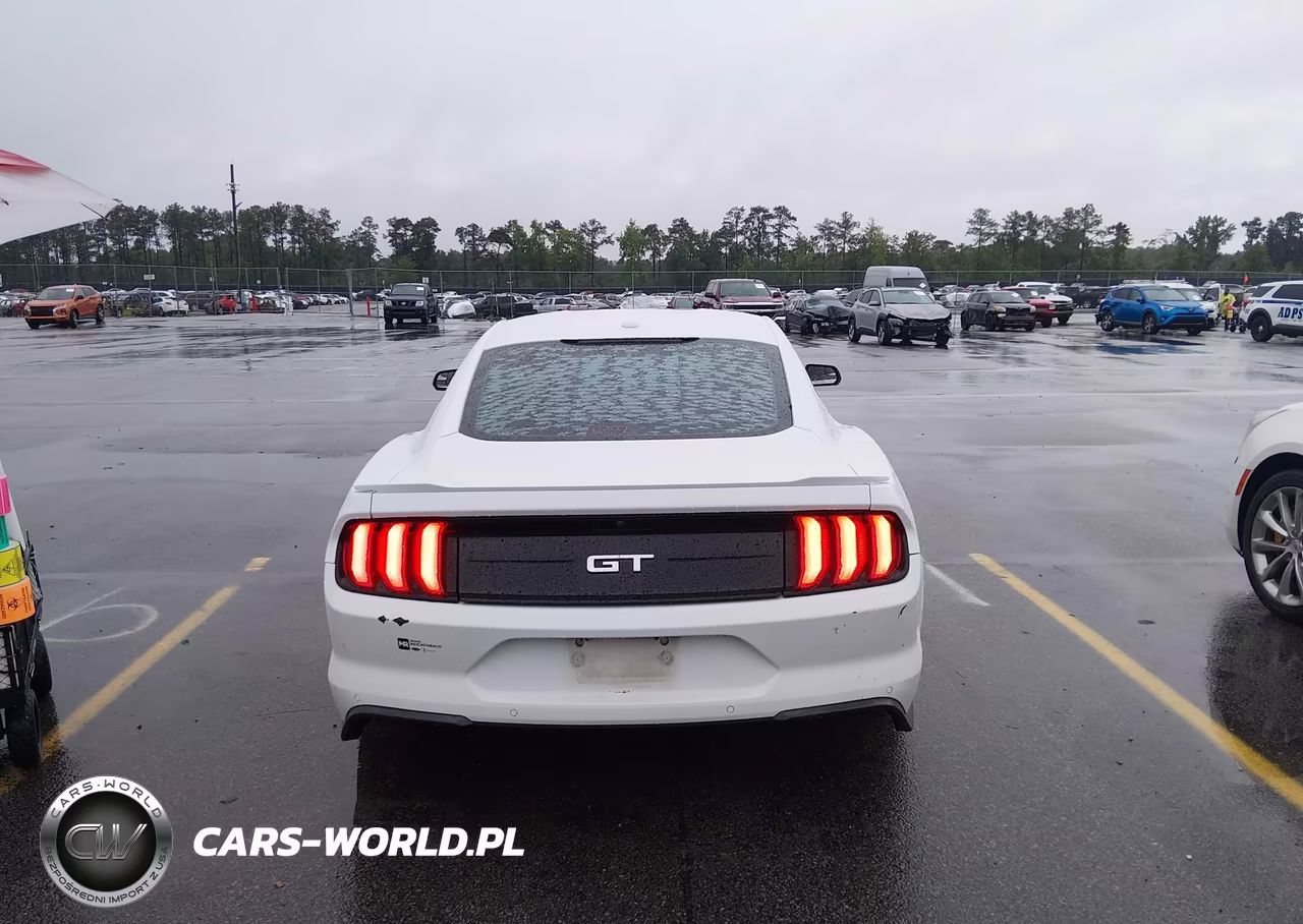 2019 Ford Mustang Gt VIN:1FA6P8CF7K5191349 - 16