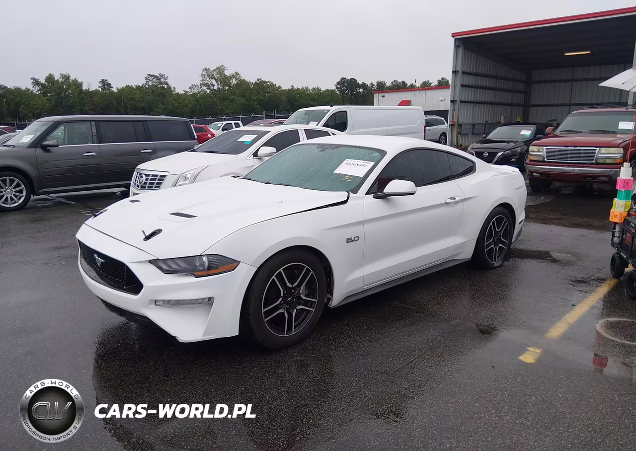 2019 Ford Mustang Gt VIN:1FA6P8CF7K5191349 - 2